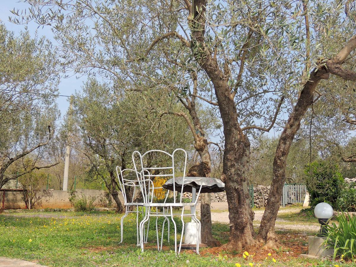 Apartments Zarko Brzac Dış mekan fotoğraf